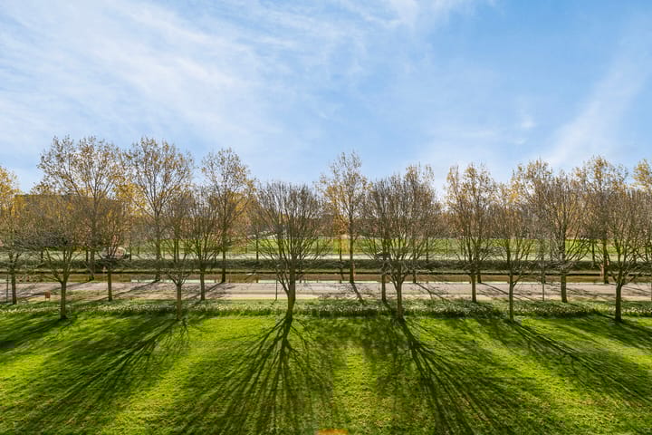 Foto 17 van Henriëtte Roland Holstlaan 89