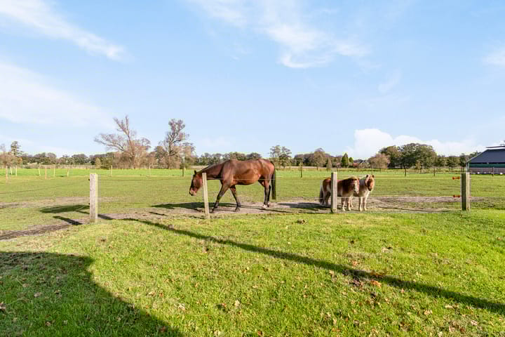 Foto 2 van Invalsweg 7