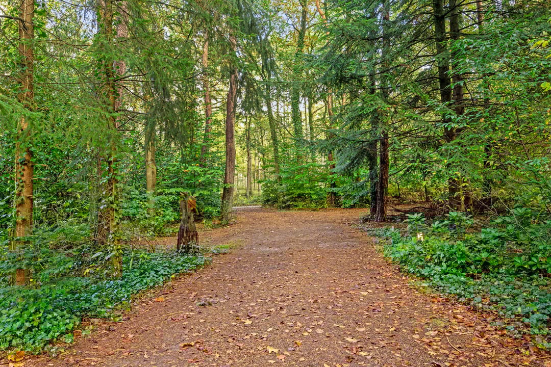 Photo 26 of Voorsteweg 17