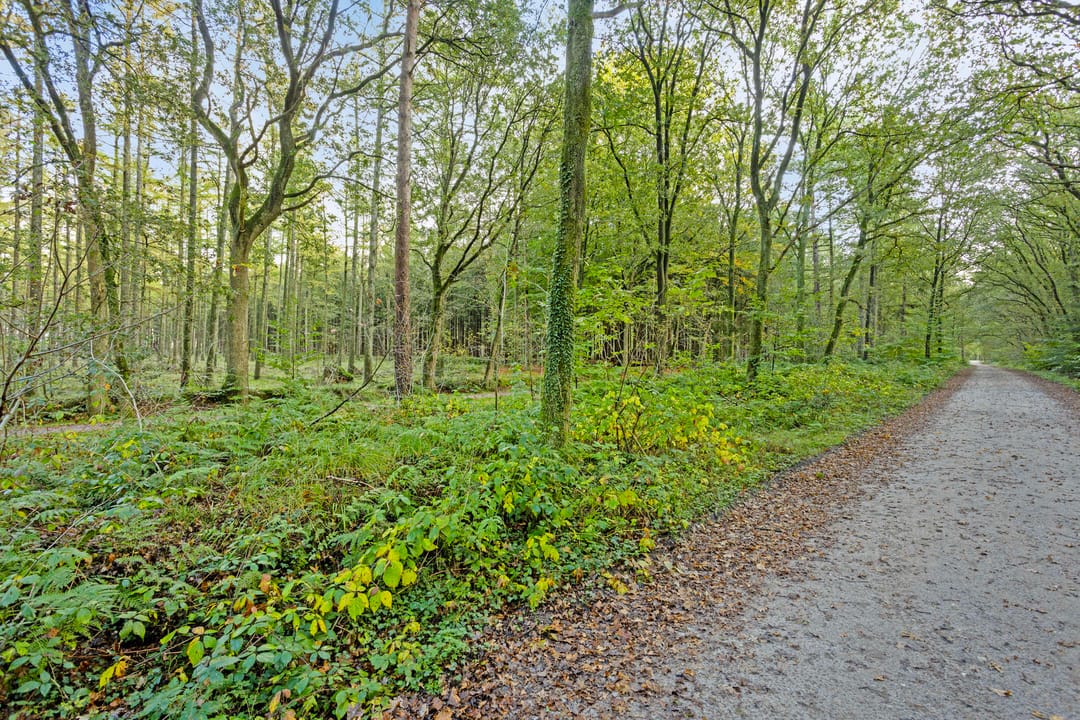 Photo 28 of Voorsteweg 17