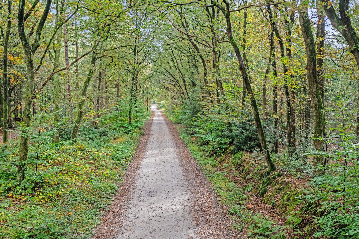 Photo 29 of Voorsteweg 17