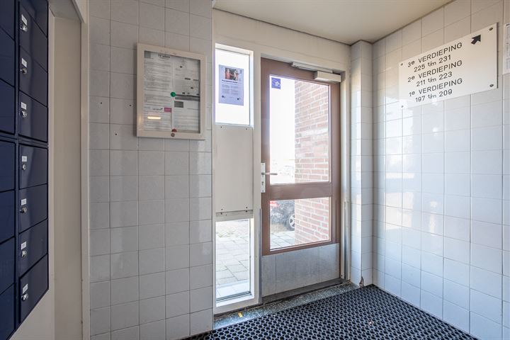 Bekijk foto 15 van Drievogelstraat 187