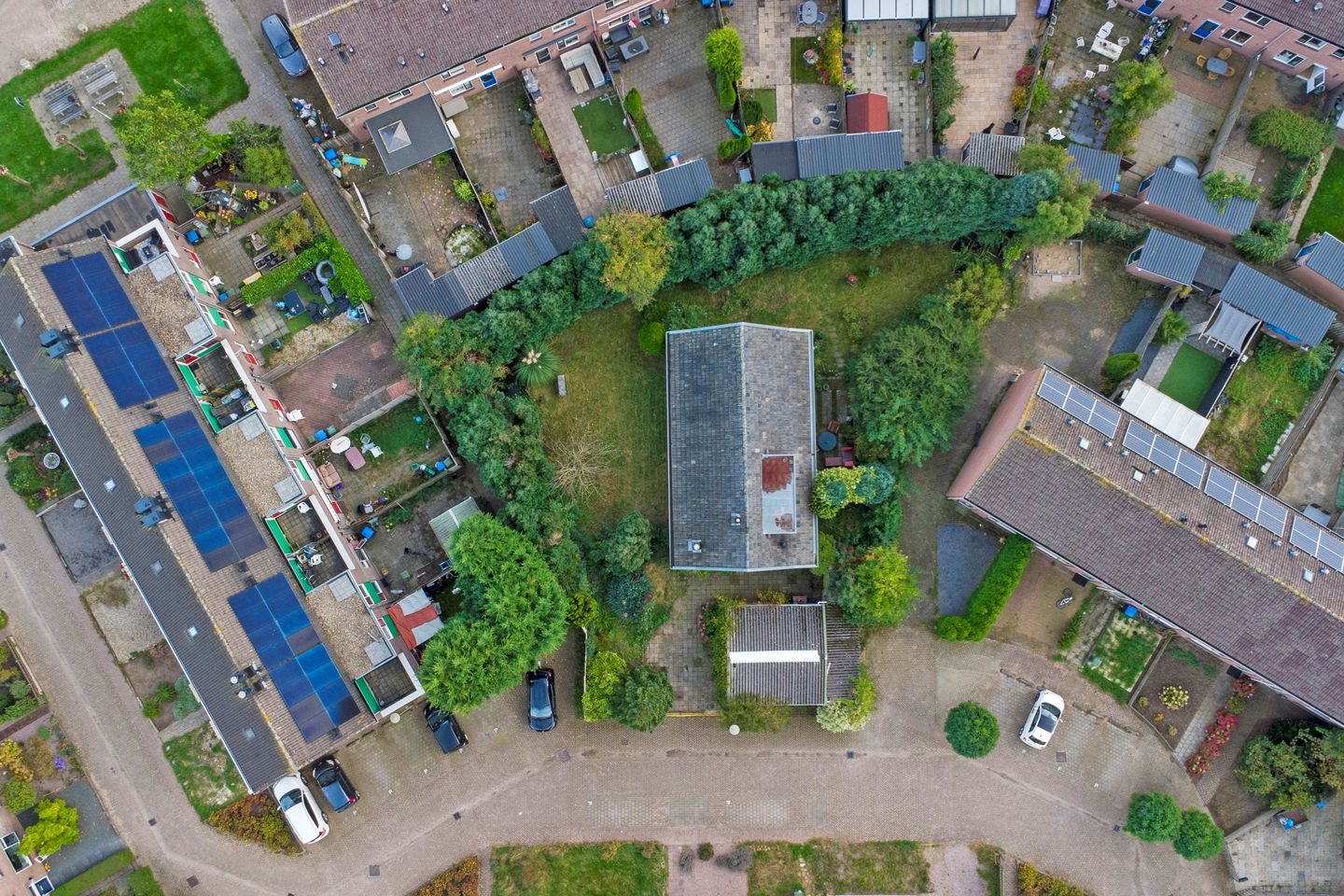 Foto 55 van Klaproos 25