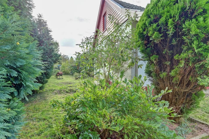 Foto 48 van Klaproos 25