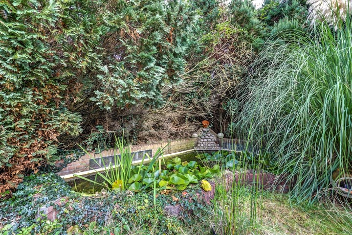 Foto 49 van Klaproos 25