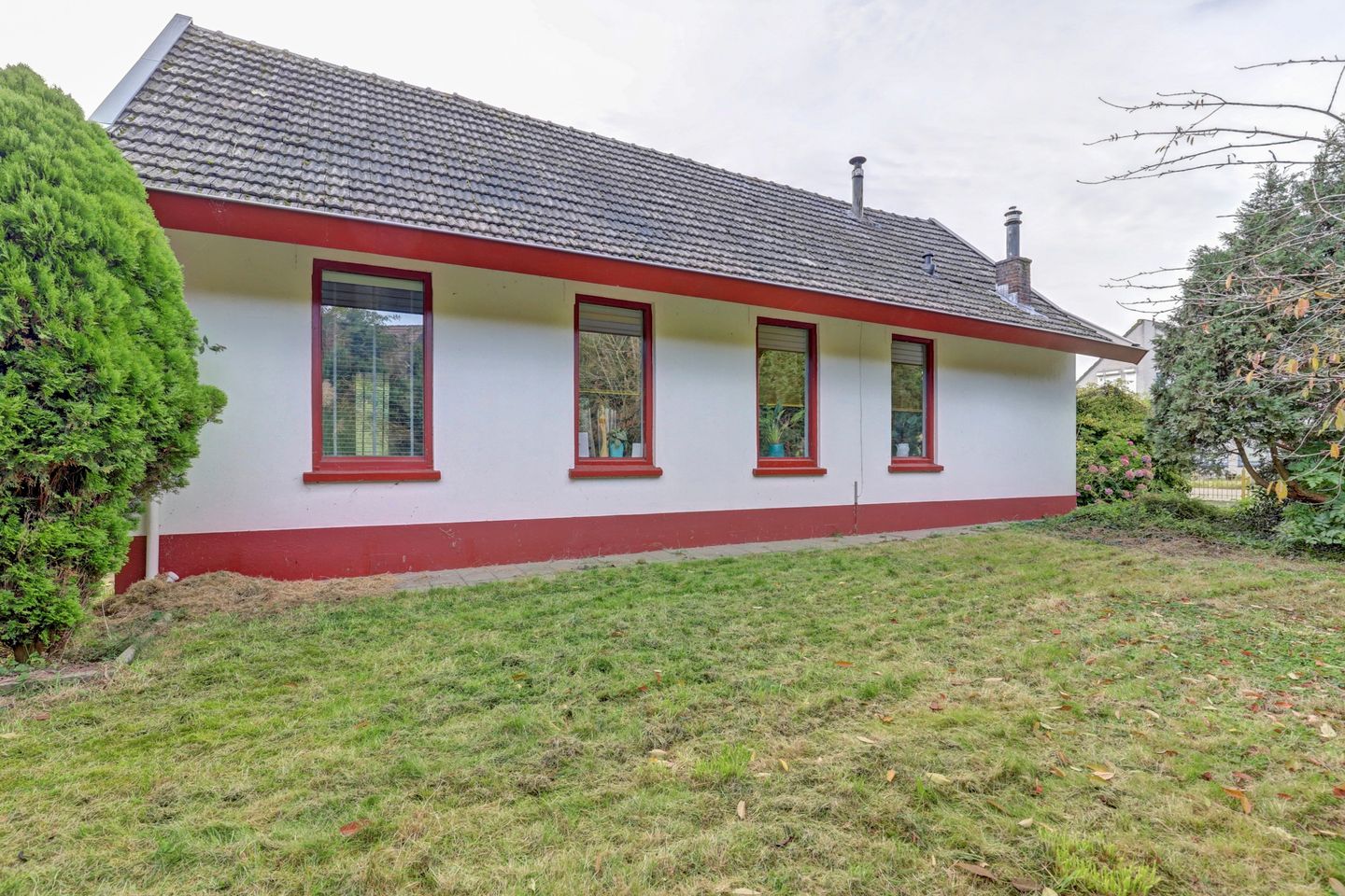 Foto 50 van Klaproos 25