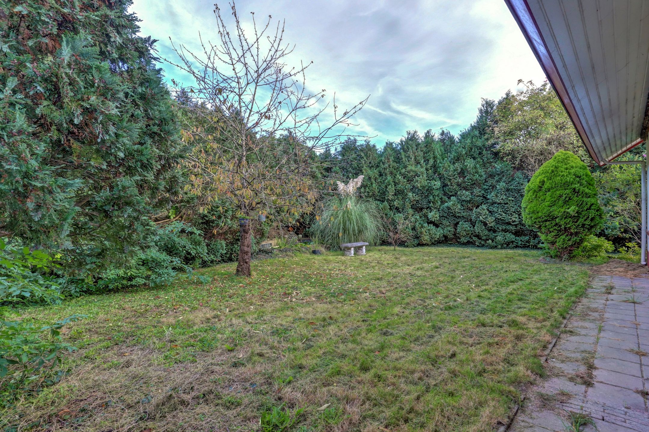 Foto 51 van Klaproos 25