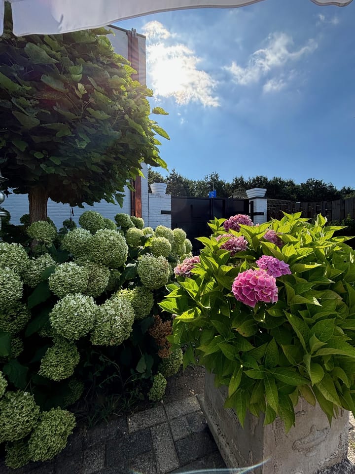 Photo 38 of Rijksweg Noord 9-A