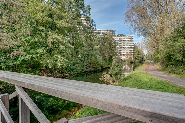 Bekijk foto 4 van Groningensingel 939