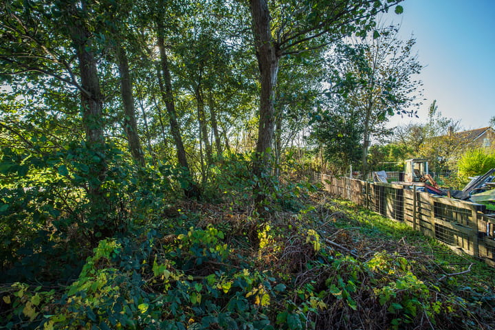 Foto 8 van De Dageraad 38