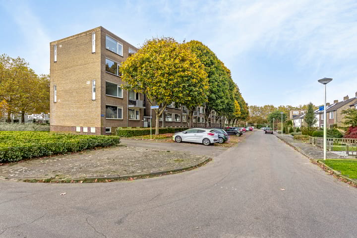 Foto 29 van Zeepziedersdreef 10-A