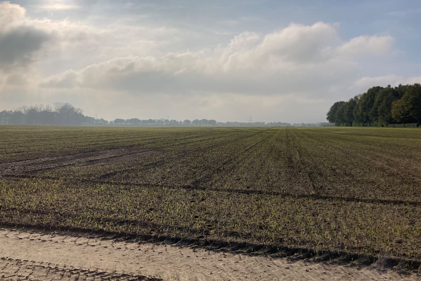 Bekijk foto 4 van Slinkstraat