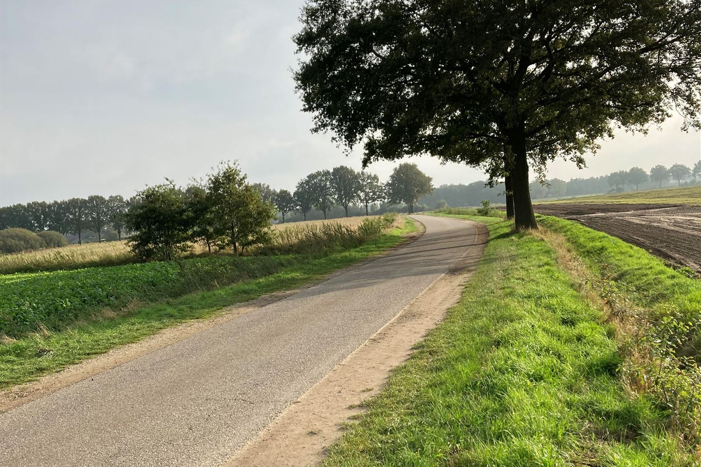 Bekijk foto 3 van Slinkstraat