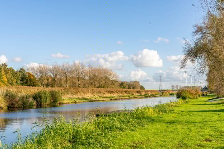 Foto 2 van Paardebloemstraat 14