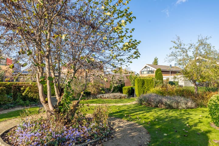 Foto 39 van Paardebloemstraat 14