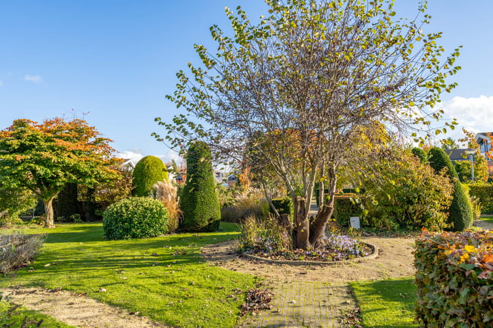 Foto 41 van Paardebloemstraat 14