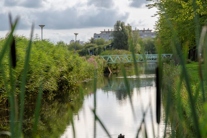 View photo 45 of Laan van Oud-Kralingen 8