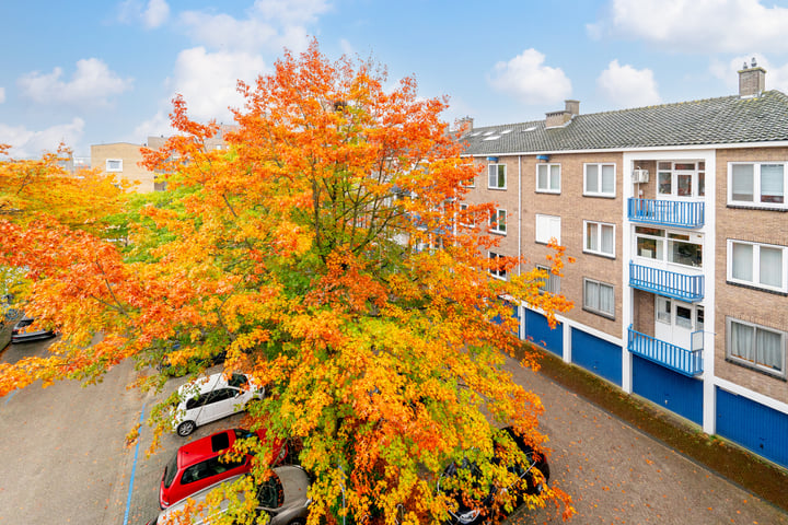 Bekijk foto 41 van Johan van Soesdijkstraat 53-II