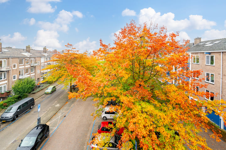 Bekijk foto 42 van Johan van Soesdijkstraat 53-II