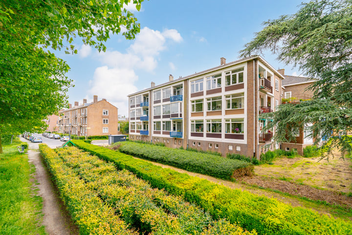 Bekijk foto 43 van Johan van Soesdijkstraat 53-II