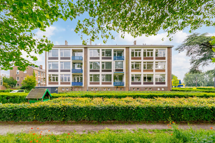 Bekijk foto 45 van Johan van Soesdijkstraat 53-II