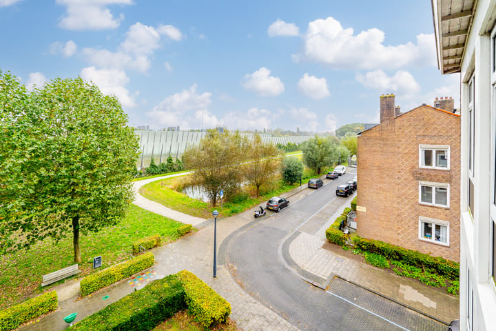 Bekijk foto 46 van Johan van Soesdijkstraat 53-II