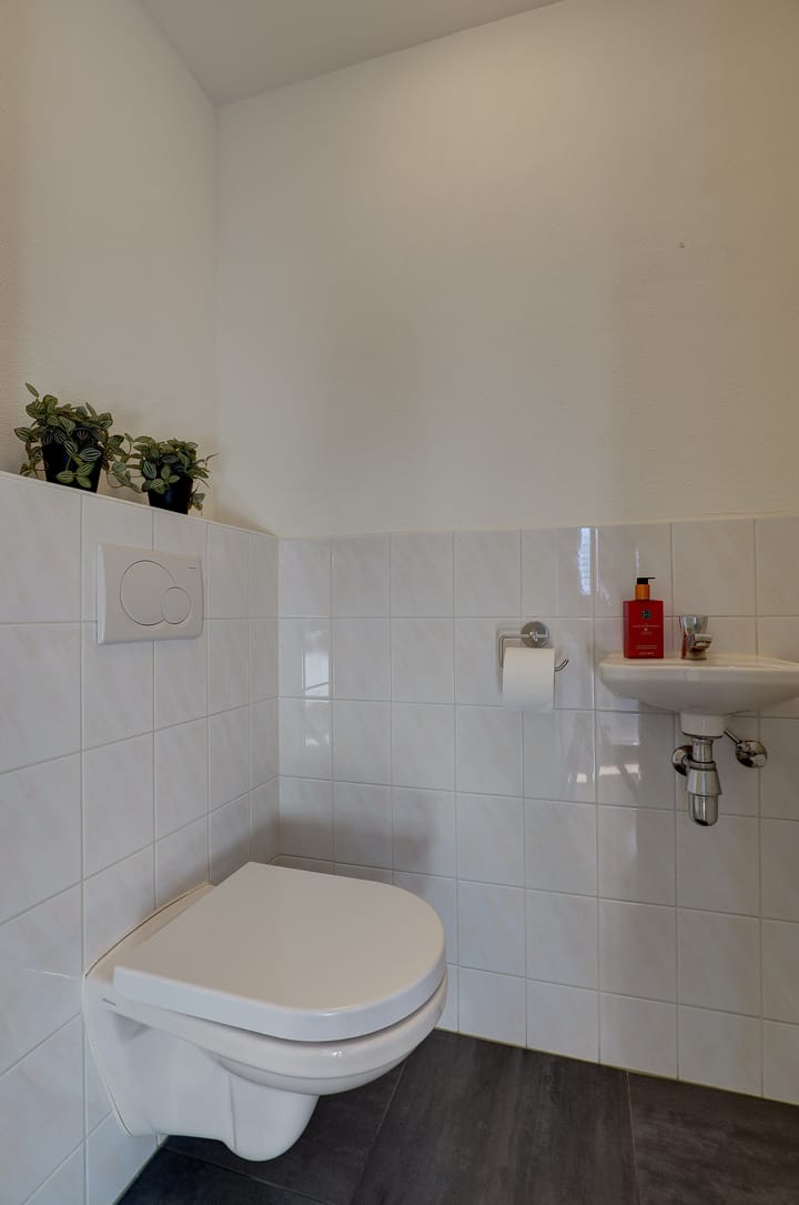 Foto 16 van Oleanderhage 1