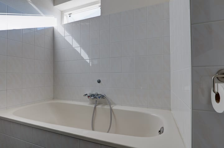 Foto 27 van Oleanderhage 1