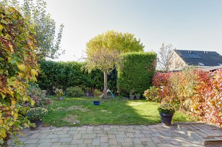 Foto 35 van Oleanderhage 1