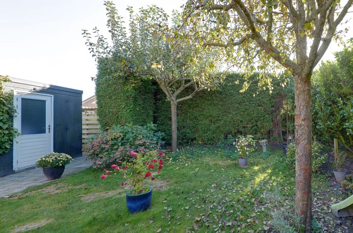 Foto 39 van Oleanderhage 1