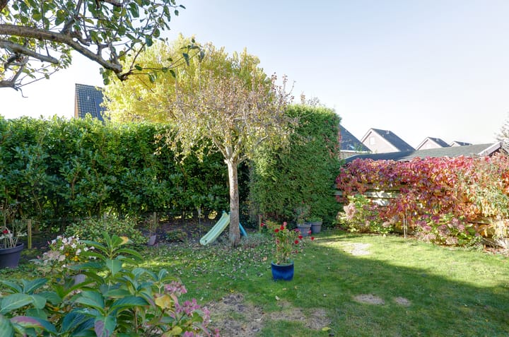 Foto 36 van Oleanderhage 1