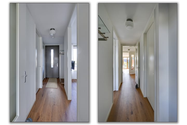 Foto 7 van Menagerie 19