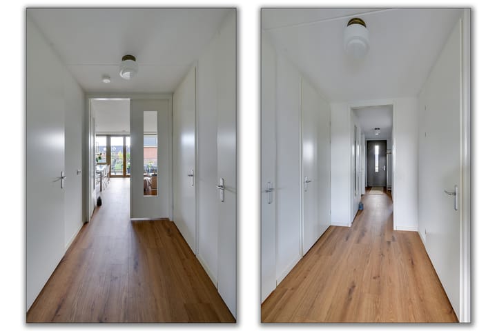 Foto 8 van Menagerie 19