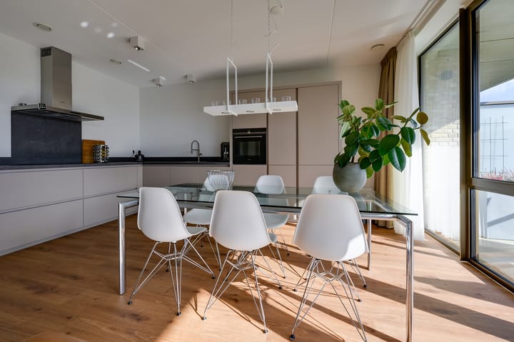 Foto 13 van Menagerie 19