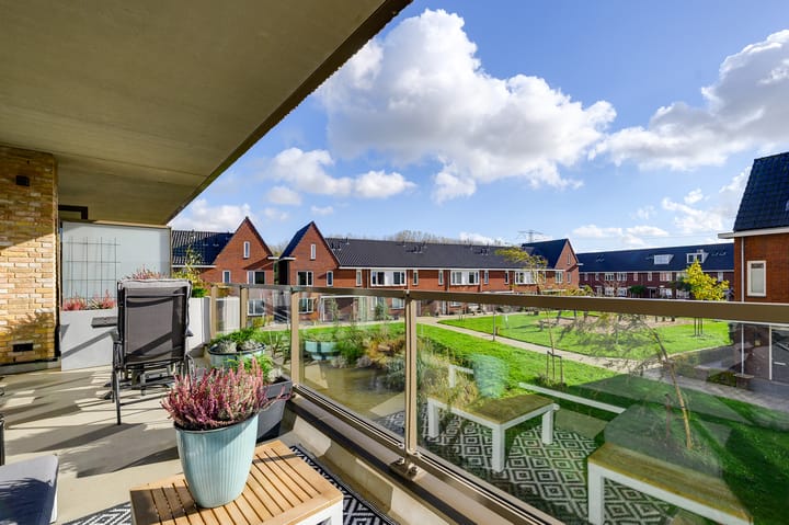 Foto 18 van Menagerie 19