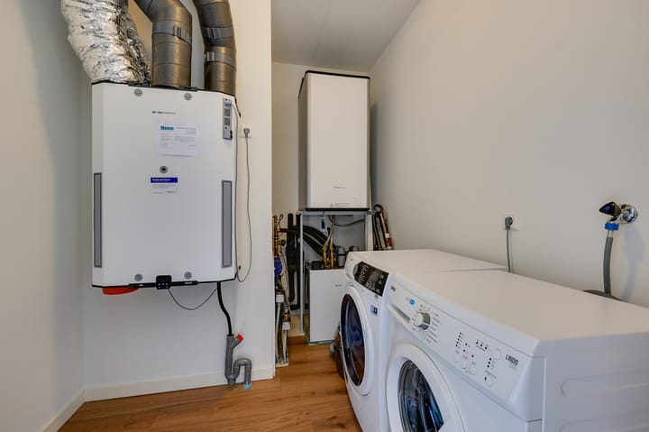 Foto 25 van Menagerie 19