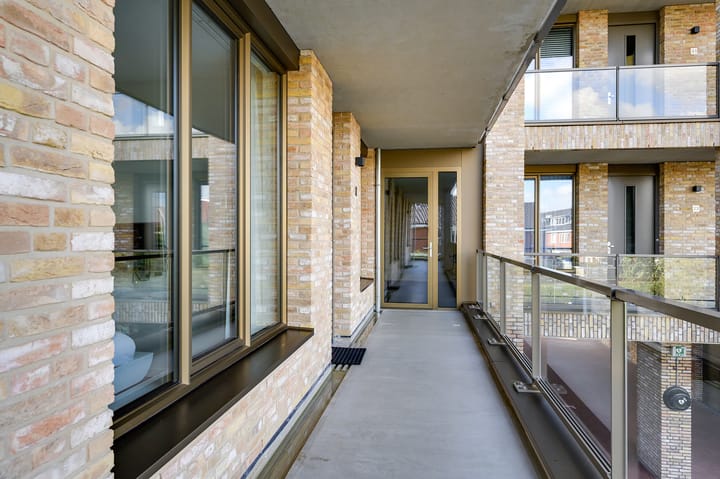 Foto 26 van Menagerie 19