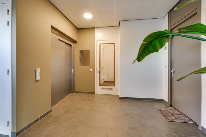 Foto 29 van Menagerie 19