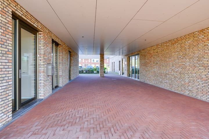 Foto 31 van Menagerie 19