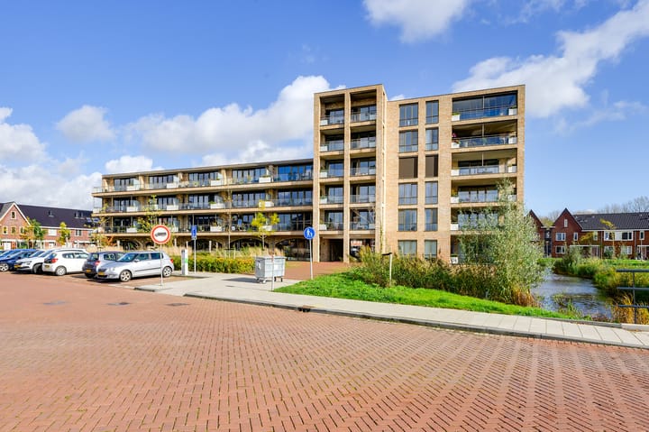 Foto 33 van Menagerie 19