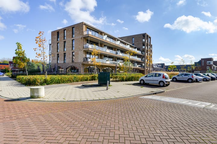 Foto 34 van Menagerie 19