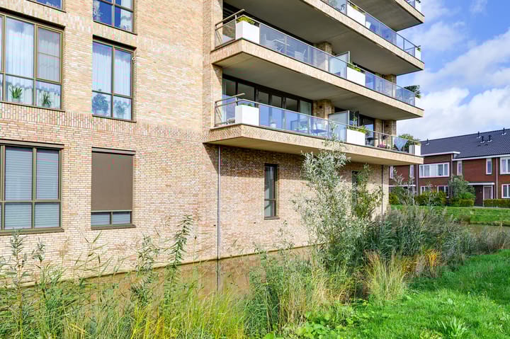 Foto 35 van Menagerie 19