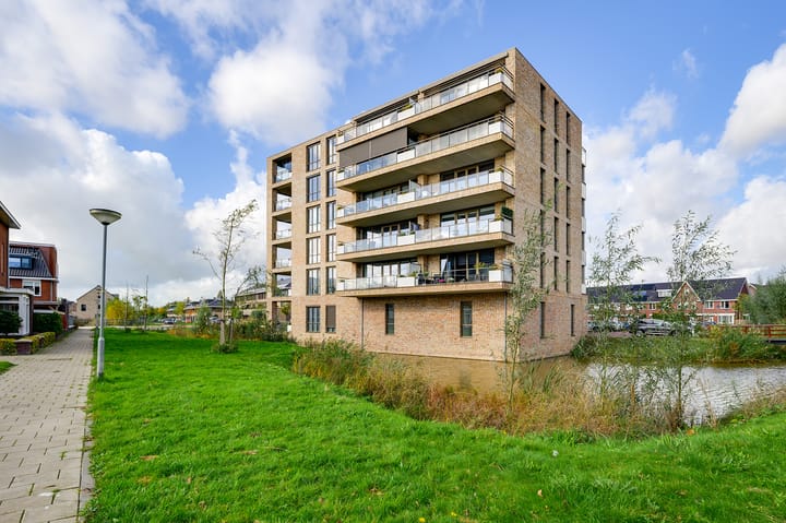 Foto 37 van Menagerie 19