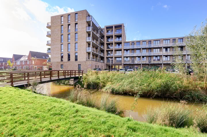 Foto 39 van Menagerie 19