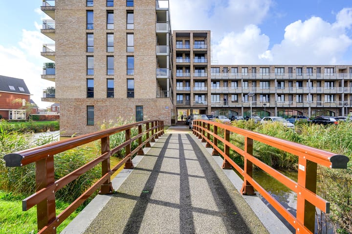 Foto 40 van Menagerie 19