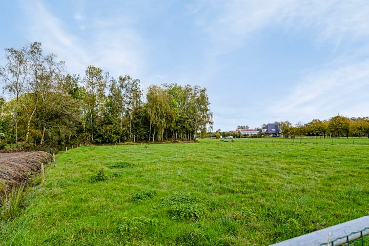 Foto 53 van Boerestreek 11