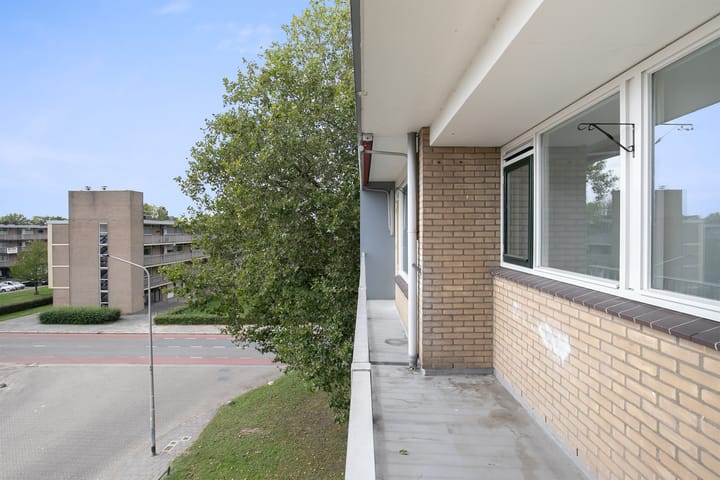 Foto 20 van Lankforst 1102