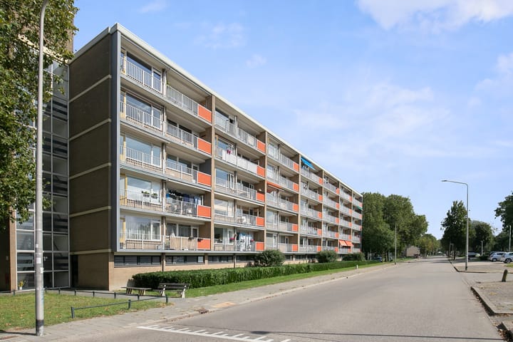 Foto 4 van Lankforst 1102