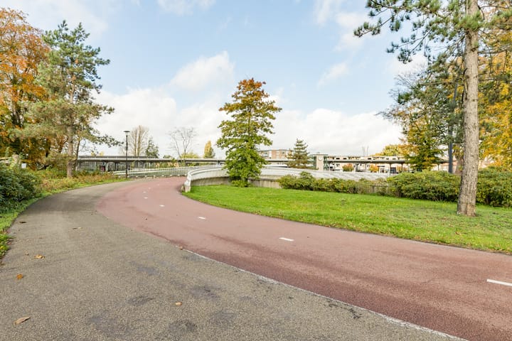 Foto 36 van Jan van Nassaupark 39