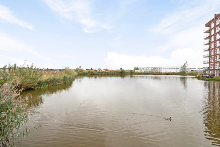 Foto 24 van Engelsmanplaat 9